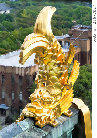 日本 ジャパン 日本国 29677927