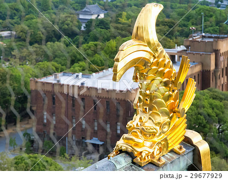 日本 ジャパン 日本国 29677929