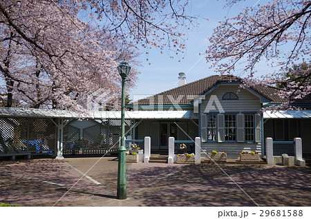 青空と旧68番館とサクラ（正面） 29681588