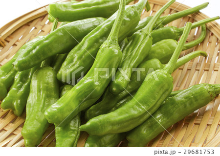 ししとう 29681753