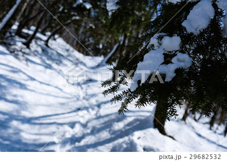 残雪の登山道 残雪の登山道 29682532