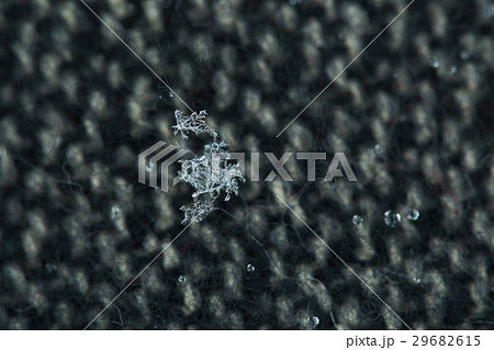 雪の結晶 雪の結晶 29682615