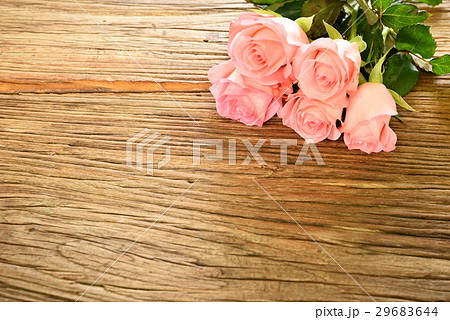 薔薇 バラ科 バラ 29683644