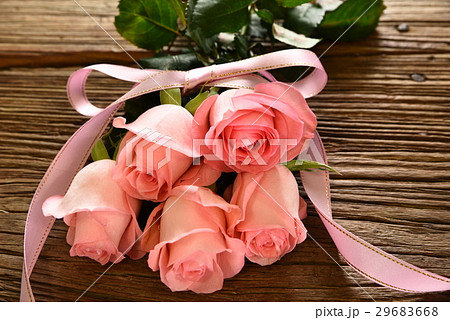 薔薇 バラ科 バラ 29683668