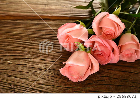 薔薇 バラ科 バラ 29683673