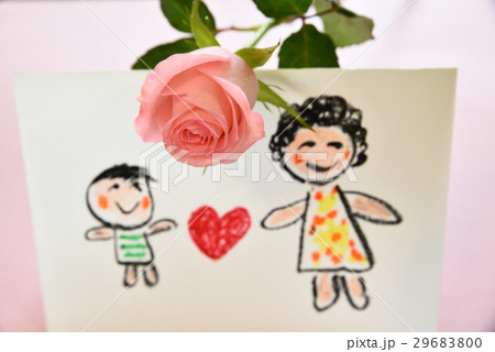 薔薇 バラ科 バラ 29683800