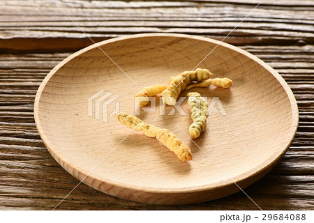 漢方 東洋医学 シシウド 29684088