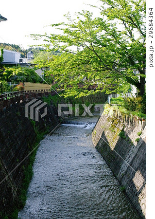 のどかな景色 のどかな景色 29684364