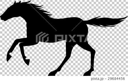 サラブレッド003 29684456