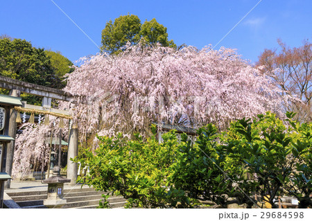 大石神社 大石神社 29684598