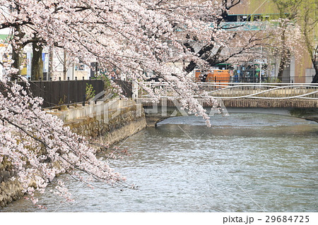 広瀬川 広瀬川 29684725