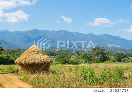 Harvesting of straw like a cottage in Thailand 29684738