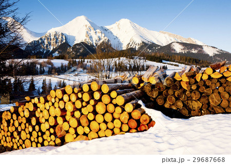 Belianske Tatry in winter, Slovakia 29687668