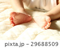あかちゃんの足 29688509
