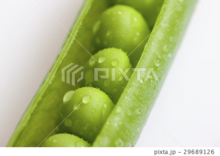 pea pod 29689126