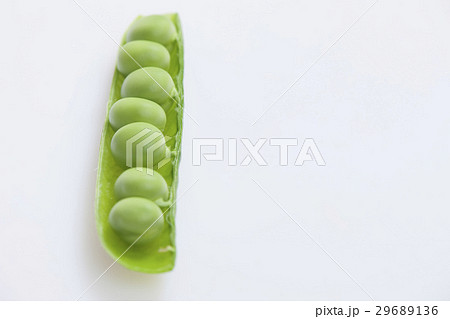 pea pod pea pod 29689136