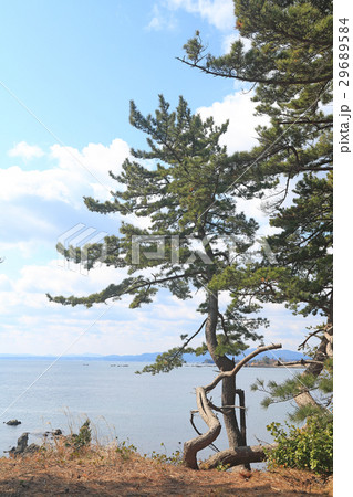 宮城県気仙沼市の岩井崎 29689584