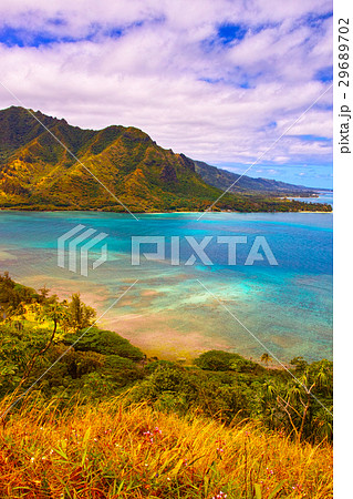 ハワイの風景 29689702