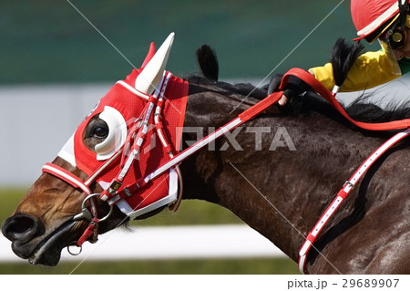 競馬 競馬 29689907