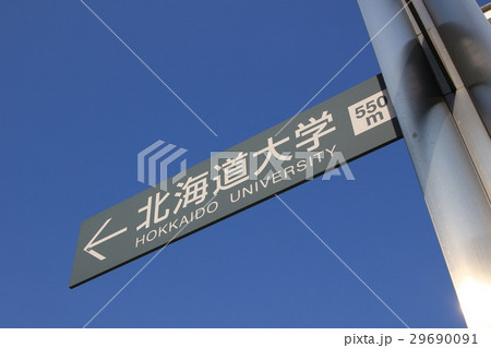 北海道大学(行き先安内看板) 北海道大学(行き先安内看板) 29690091