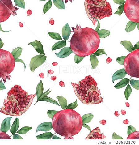 Pomegranate 3.  29692170