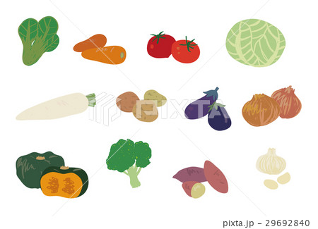 いろんな野菜のイラスト素材