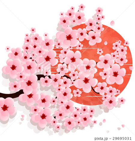 Realistic sakura japan cherry branch 29695031