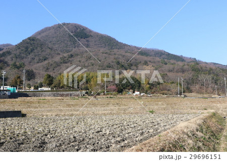 二上山と麓の田んぼ 二上山と麓の田んぼ 29696151