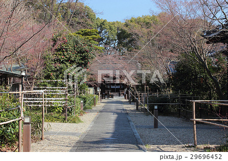 京都 梨木神社 京都 梨木神社 29696452