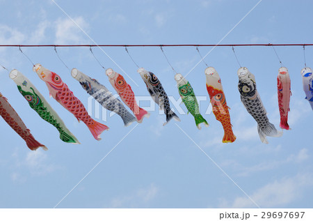 こいのぼり（神奈川県相模川） 29697697