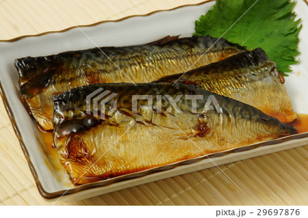 鯖煮 鯖煮 29697876