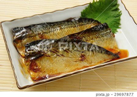 鯖煮 29697877