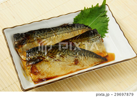 鯖煮 鯖煮 29697879