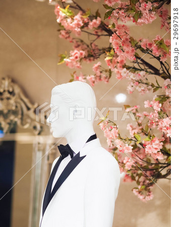 礼服 フォーマルドレス 正装 29697918