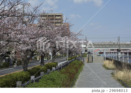 浦安市 4月 浦安市 4月 29698013