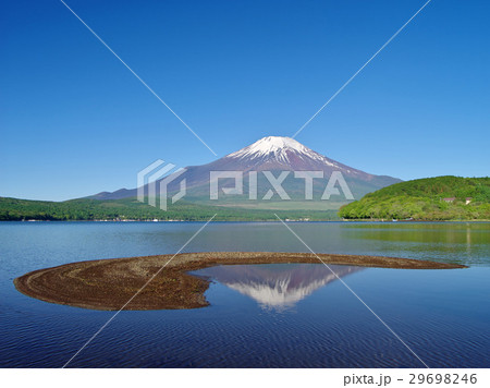 春色山中湖 29698246