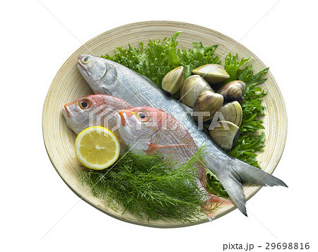 Fresh Meat & Seafood 29698816