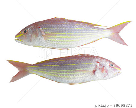 Fresh Meat & Seafood Fresh Meat & Seafood 29698873