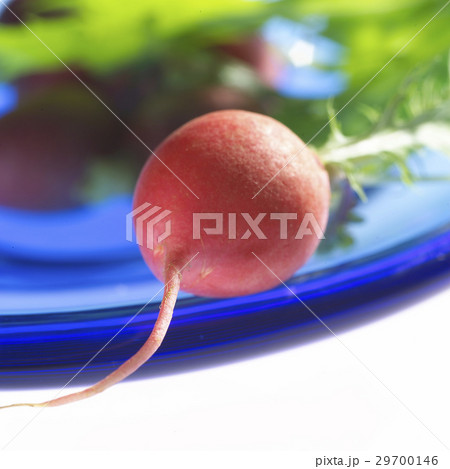 Vegetable 29700146