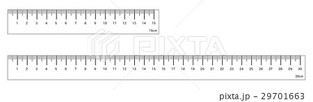 15cmと30cmの定規のイラスト素材