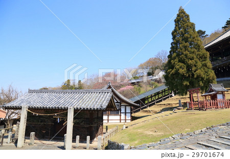 東大寺 閼伽井屋 東大寺 閼伽井屋 29701674
