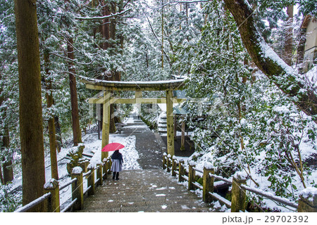 白山比咩神社参道 29702392