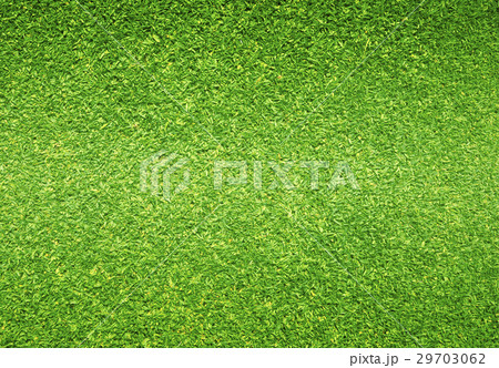 grass background Golf Courses green lawn pattern grass background Golf Courses green lawn pattern 29703062