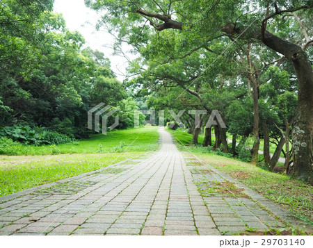 公園 パーク 園 29703140