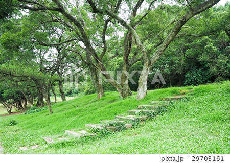 公園 パーク 園 29703161