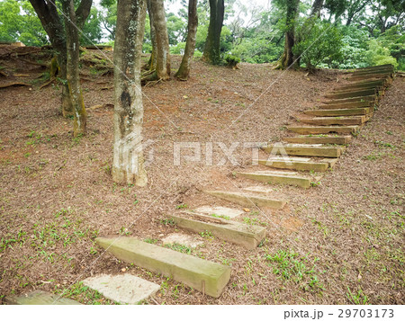 公園 パーク 園 29703173