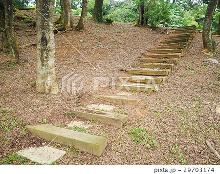 公園 パーク 園 29703174