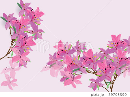 Azalea flowers  hand drawn watercolor 29703390