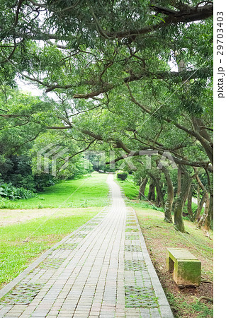 公園 パーク 園 29703403