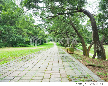 公園 パーク 園 29703410